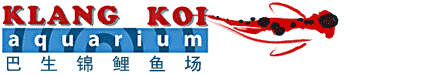 Klang Koi Aquarium